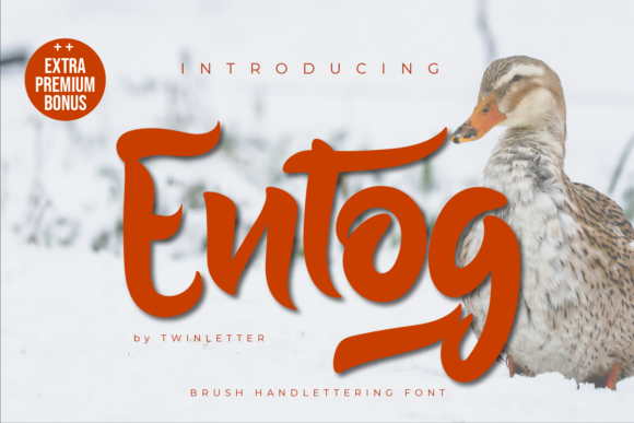 Entog Typeface: Bold Handwritten Style for Branding