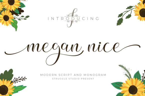 Megan Nice: A Handwritten Font for Small Business Branding