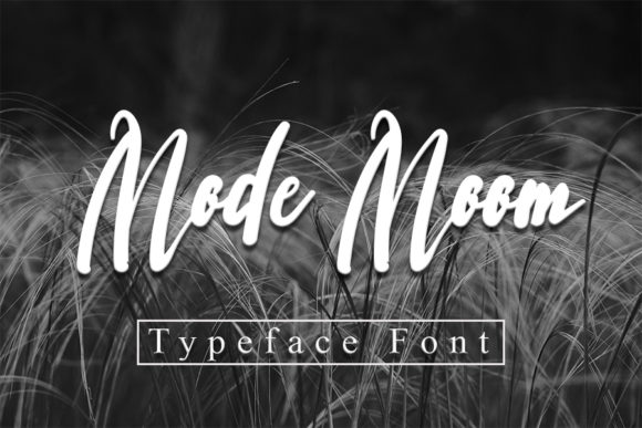 Mode Moon Font: A Designer’s Take on Relaxed Branding