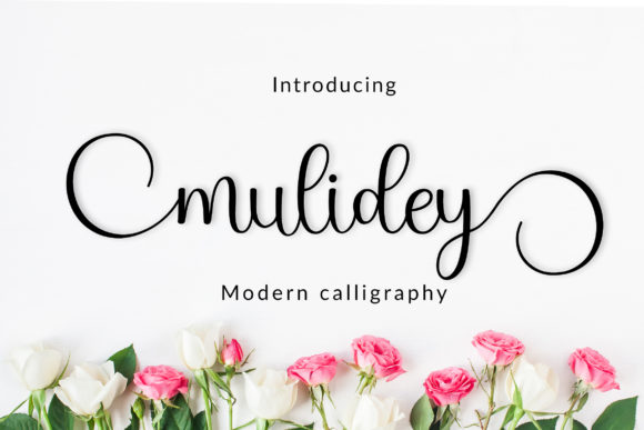 Mulidey: A Handwritten Font for Editorial Warmth