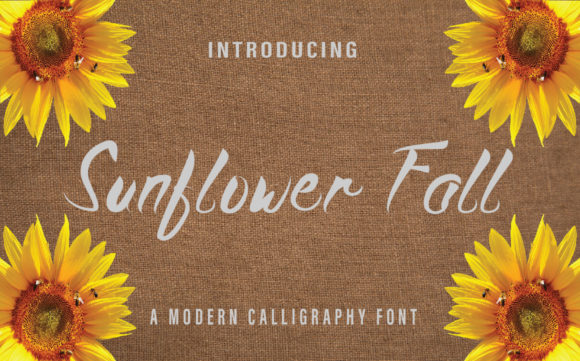 Sunflower Fall: A Versatile Script Font for Branding